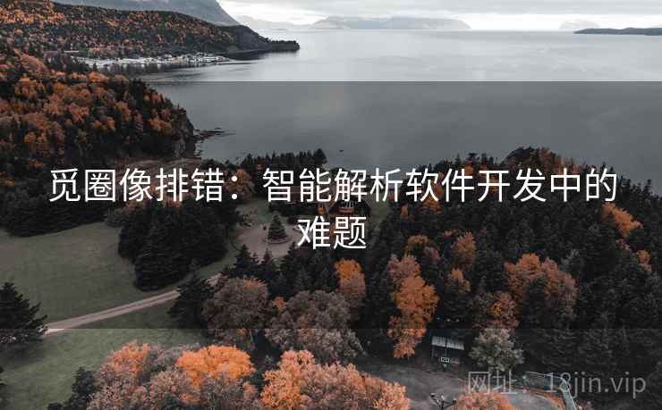 觅圈像排错:智能解析软件开发中的难题 觅圈像排错:智能解析软件开发中的难题