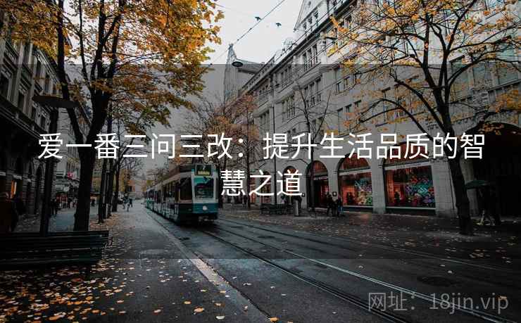 爱一番三问三改：提升生活品质的智慧之道